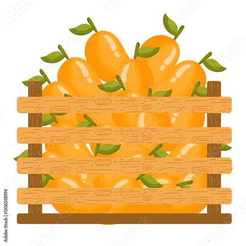 Fresh Fruits in Wooden Crates. Fresh Mangoes Illustration
