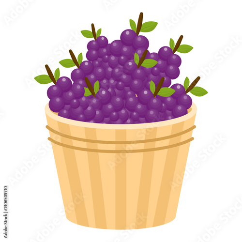 Fresh Fruits and Vegetables in Wooden Baskets. A Basket of Grapes