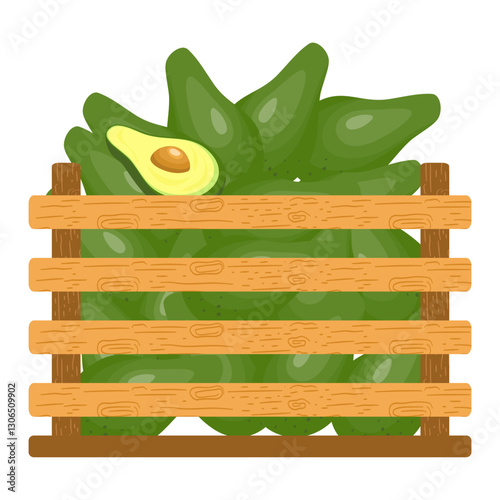 Fresh Fruits in Wooden Crates. Fresh Avocados Illustration