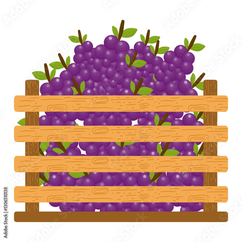 Fresh Fruits in Wooden Crates. Fresh Grapes Illustration
