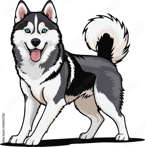 siberian husky dog vector illustration white background
