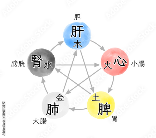 五臓五腑と五行のイメージと関係性を表す水彩イラスト