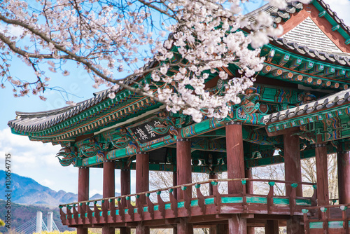 traditional Korean gazebo in spring time
