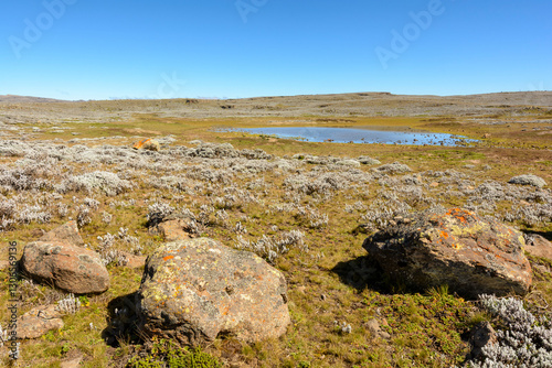 Scenic view of wetlands on the Sanetti Plateau in the Bale Mountains National Park. Ethiopia.