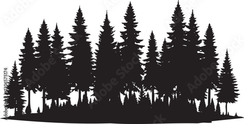 pine forest vector.