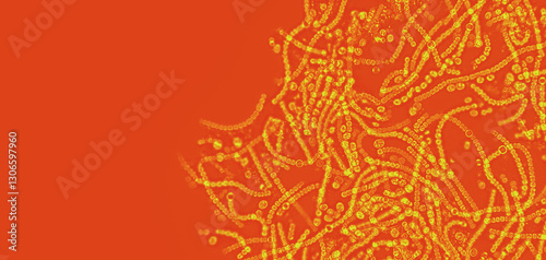 Probiotics, lactic acid bacteria. Algae, bacteria and microorganisms. Microscopic probiotics, bacterial flora