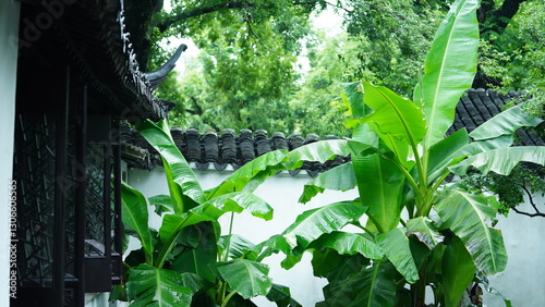 The classical Chinese garden buildings view in Suzhou of the China in the rainy day