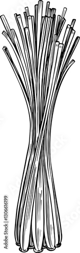 Lemongrass Line Art