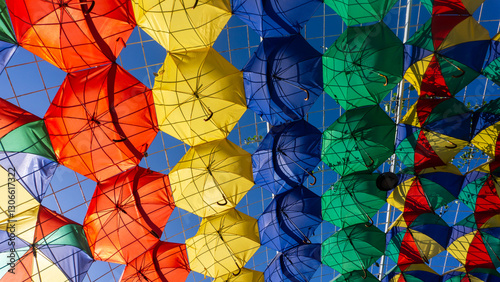 Photography Miracle Garden in Dubai, United Arab Emirates