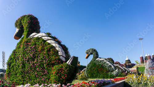 Photography Miracle Garden in Dubai, United Arab Emirates