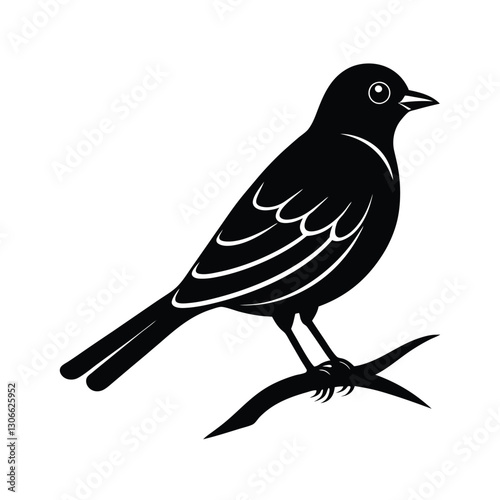 bird on a branch vector illustration