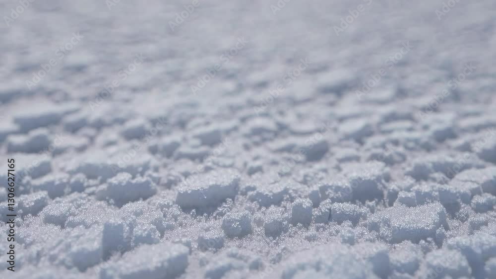 The Snowy Texture Background The Snowy Texture Background