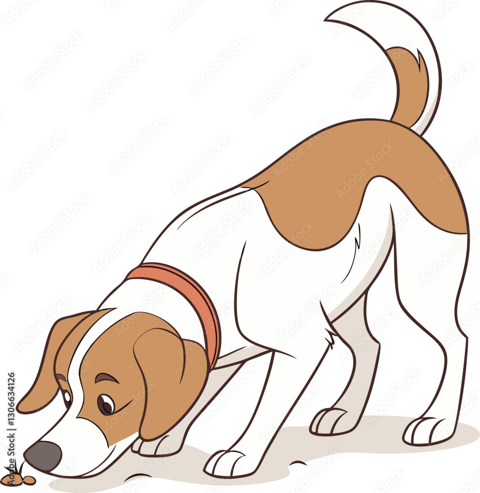 Dog with a keen nose and alert expression focuses on something interesting on the ground Dog with a keen nose and alert expression focuses on something interesting on the ground