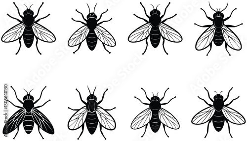 Fly vector shilhouette bundle Set Icon .