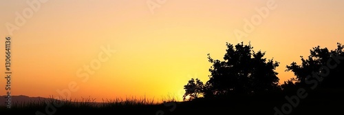 Plant elevation line silhouettes of grass, shrubs, and trees against a sunset sky, elevation, silhouette