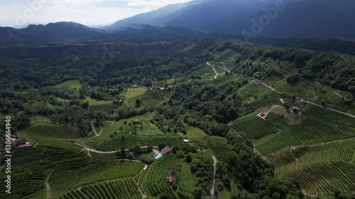 DRONE AERIAL FOOTAGE: Famous Prosecco Hills in Veneto wine region. The DOCG Cartizze Hills. The Cartizze area is located in the municipality of Valdobbiadene (Treviso, Italy).