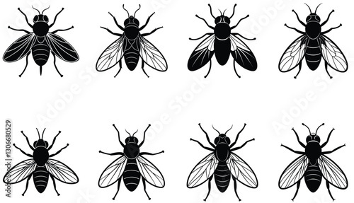 Fly vector shilhouette bundle Set Icon .