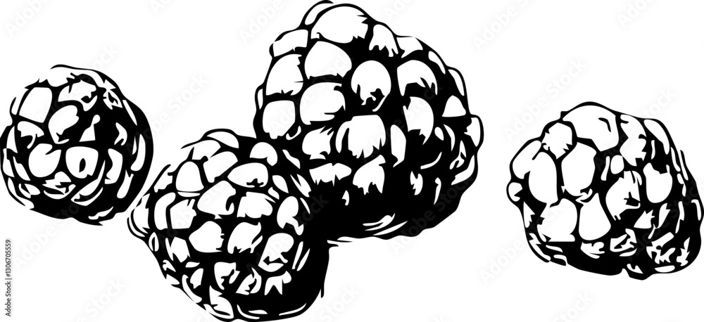 Obraz premium Stylized vector illustration of black raspberries, perfect for food-related designs, packaging, and culinary projects.