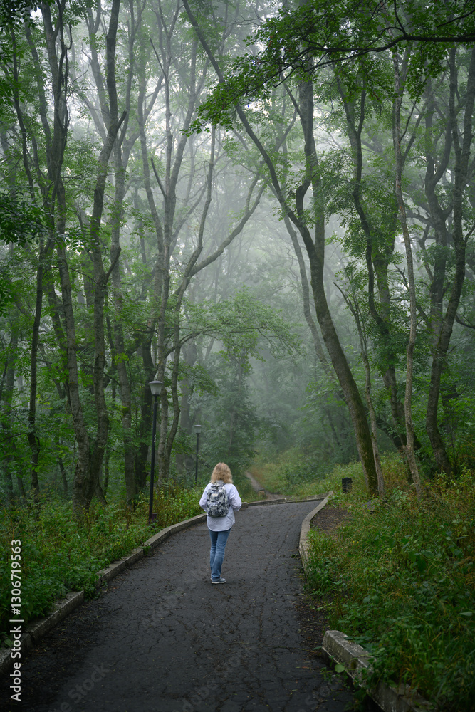 Woman walking on forest path with tall trees in misty green woods on foggy morning