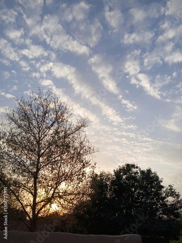  A breathtaking sunset with golden hues shining through tree branches, set against a sky with scattered clouds, creating a peaceful evening view.