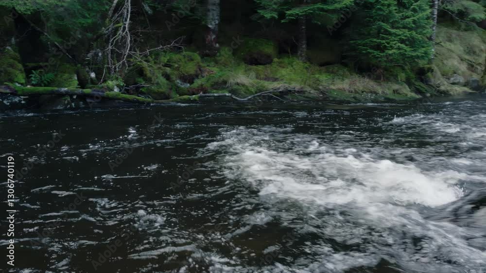 Calm Winter River - Landscape Video Calm Winter River - Landscape Video