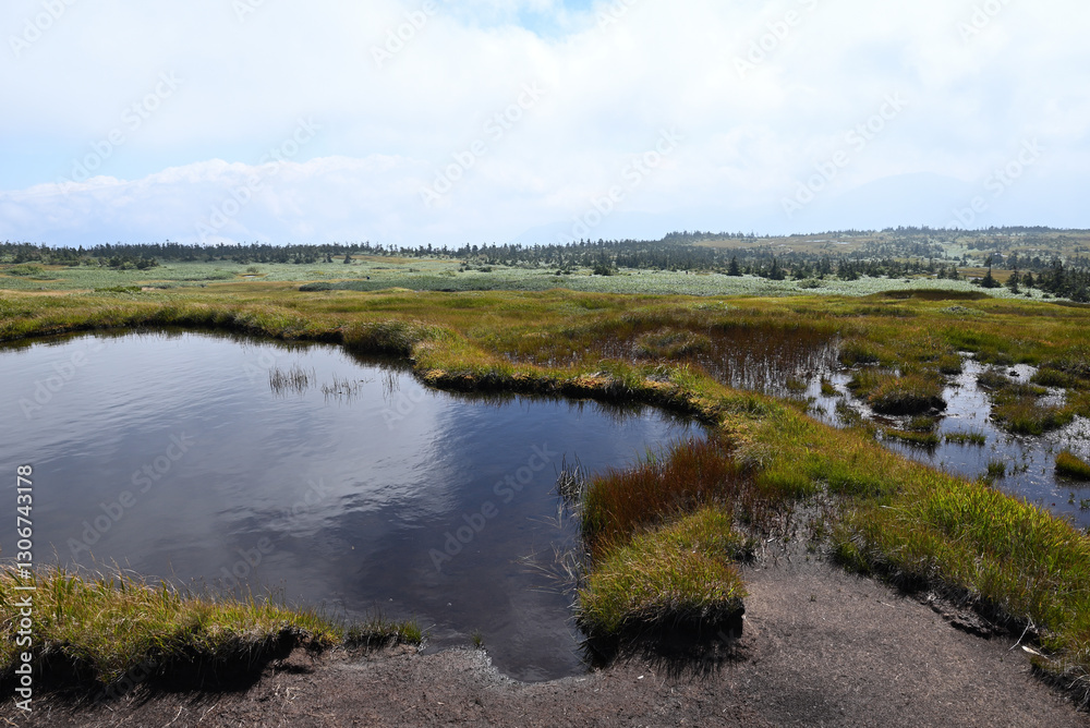 Fototapeta premium Climbing Mount Naeba, Niigata, Japan