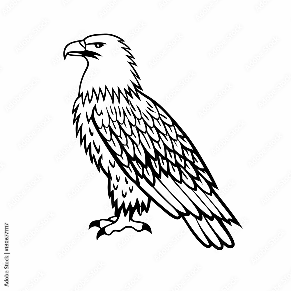 Fototapeta premium A detailed vector eagle with sharp lines and shading. 