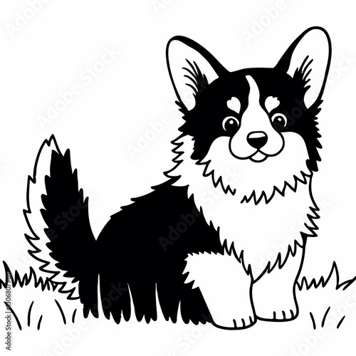 A cute corgi puppy with big eyes and fluffy fur.

