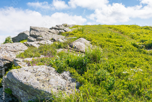 Obraz na płótnie wonderful carpathian mountain landscape in summer. travel destination. rocks and stones on the grassy hillside meadow. beautiful scenery with clouds on the blue sky in forenoon light. great highland w salonie