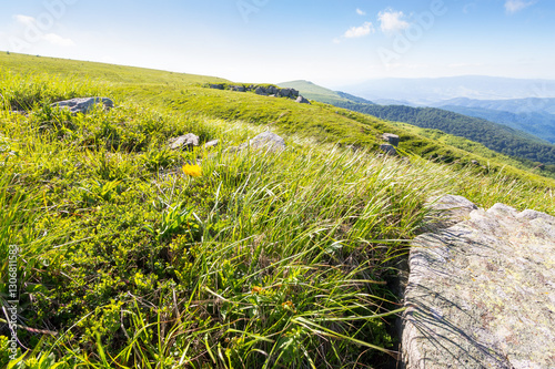 Obraz na płótnie landscape with sandstone rocks on the grassy meadow. outdoor adventure. alpine scenery of ukraine in summer. smooth mountain in morning light. beautiful view of wide open vista w salonie