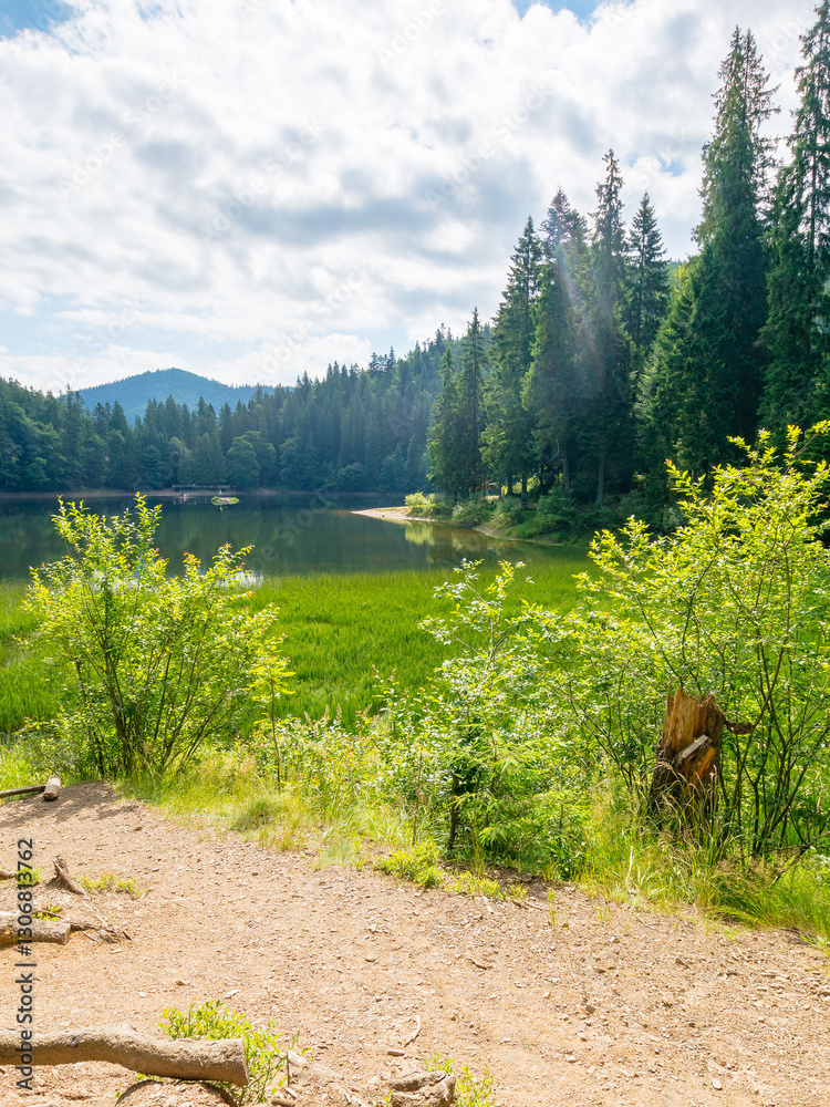 alpine scenery with lake and forest on hill. natural environment. beauty of carpathian mountain nature in summer. green landscape on a sunny day. coniferous trees reflection in water. scenic view