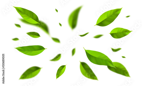 Top view on flying green leaves in the air. Fresh and healthy tea leaves.