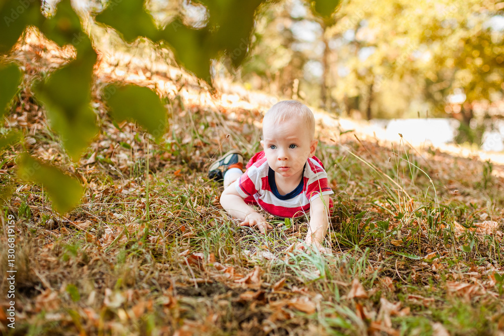 Baby under one year learning to crawl on autumn leaves in a warm park