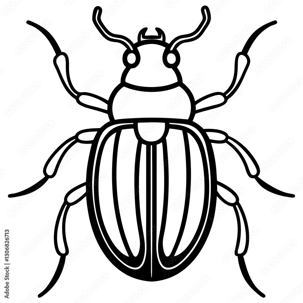 Elegant Beetle Line Drawing Vector Elegant Beetle Line Drawing Vector