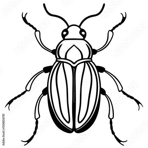 Elegant Beetle Line Drawing Vector
