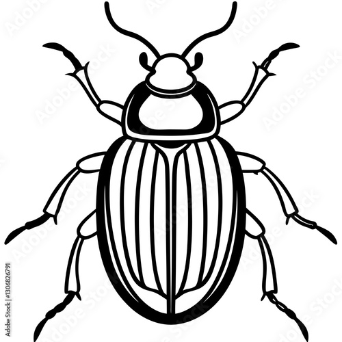 Elegant Beetle Line Drawing Vector