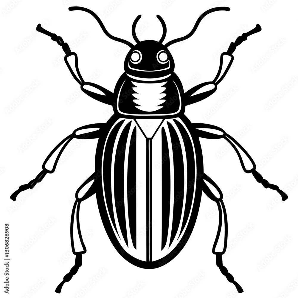 Elegant Beetle Line Drawing Vector Elegant Beetle Line Drawing Vector