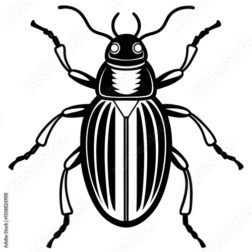 Elegant Beetle Line Drawing Vector