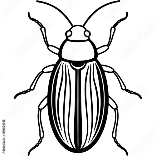 Elegant Beetle Line Drawing Vector