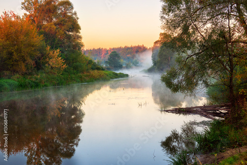 Wallpaper Mural small quiet river among trees in forest in fog early morning. atmospheric summer or spring morning. Torontodigital.ca