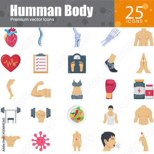 Human Body Anatomy and Health Icons Set – Vector Illustration