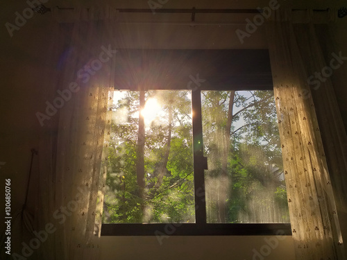 Morning Bedroom View from Window