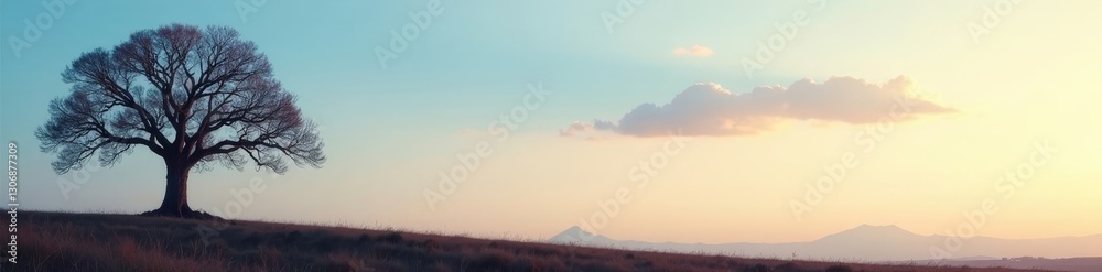 Obraz premium A lone, imposing bare tree, its silhouette etched against a clear sky , dawn, light, vector