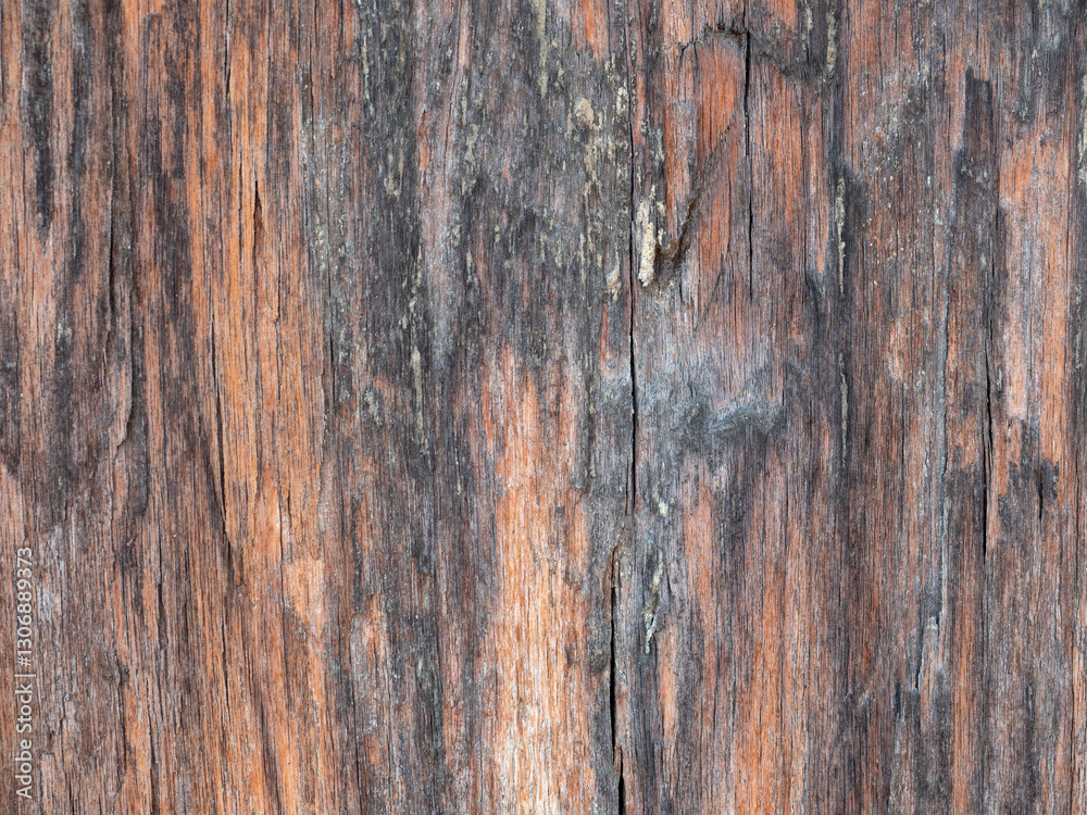 Close up wood pattern and texture for nature Background. Close up wood pattern and texture for nature Background.