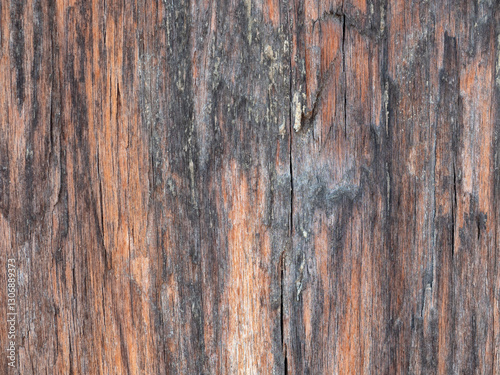 Close up wood pattern and  texture for nature Background.