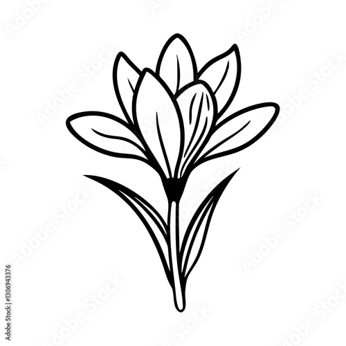 Crocus flower icon in bloom, elegant botanical design concept