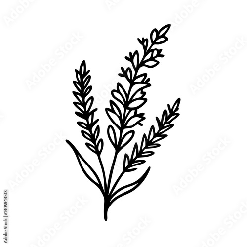 Heather flower icon, botanical art, minimalist style, nature concept