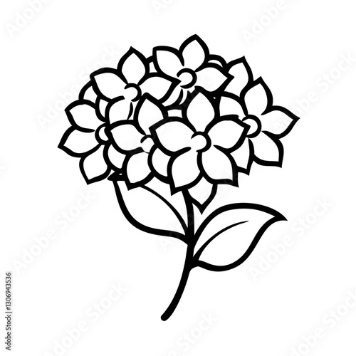 Hydrangea flower icon in bloom, nature beauty concept