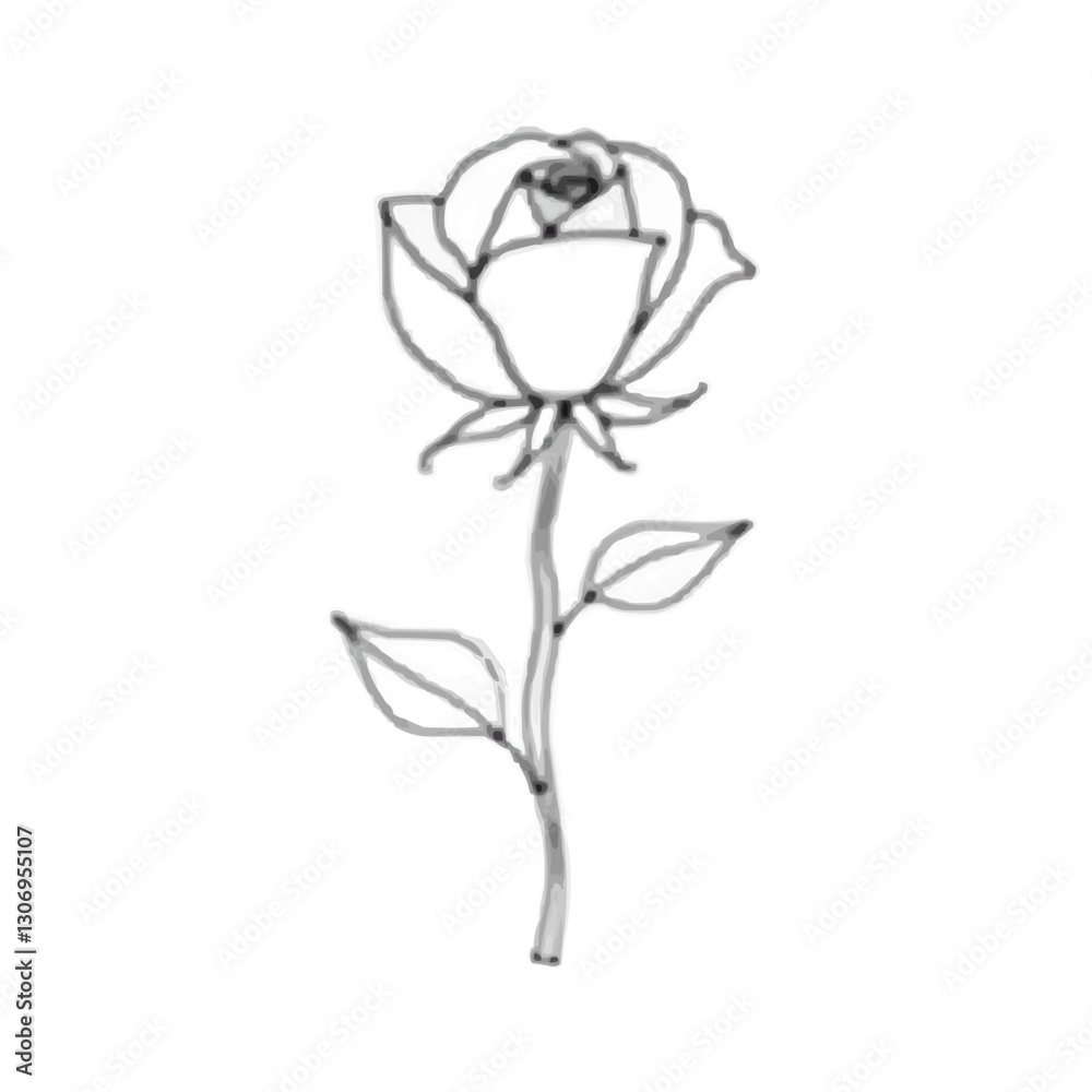 Obraz premium rose isolated on white background