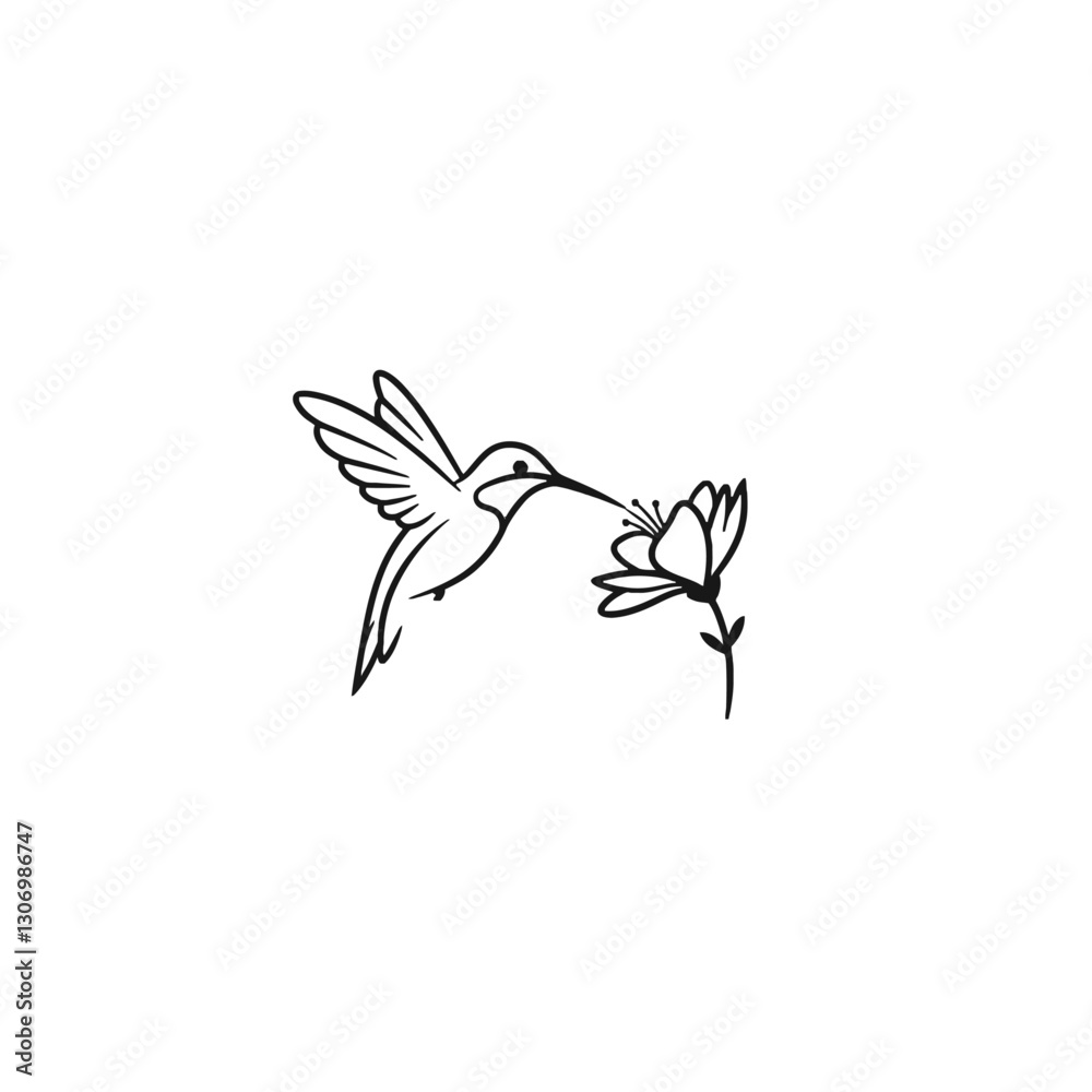 Obraz premium Hummingbird and Flower Illustration